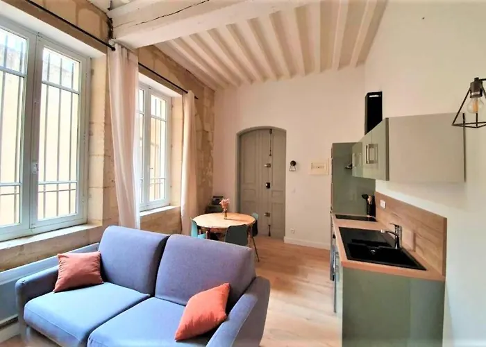 Appartement A Deux Pas De La Place Du Forum